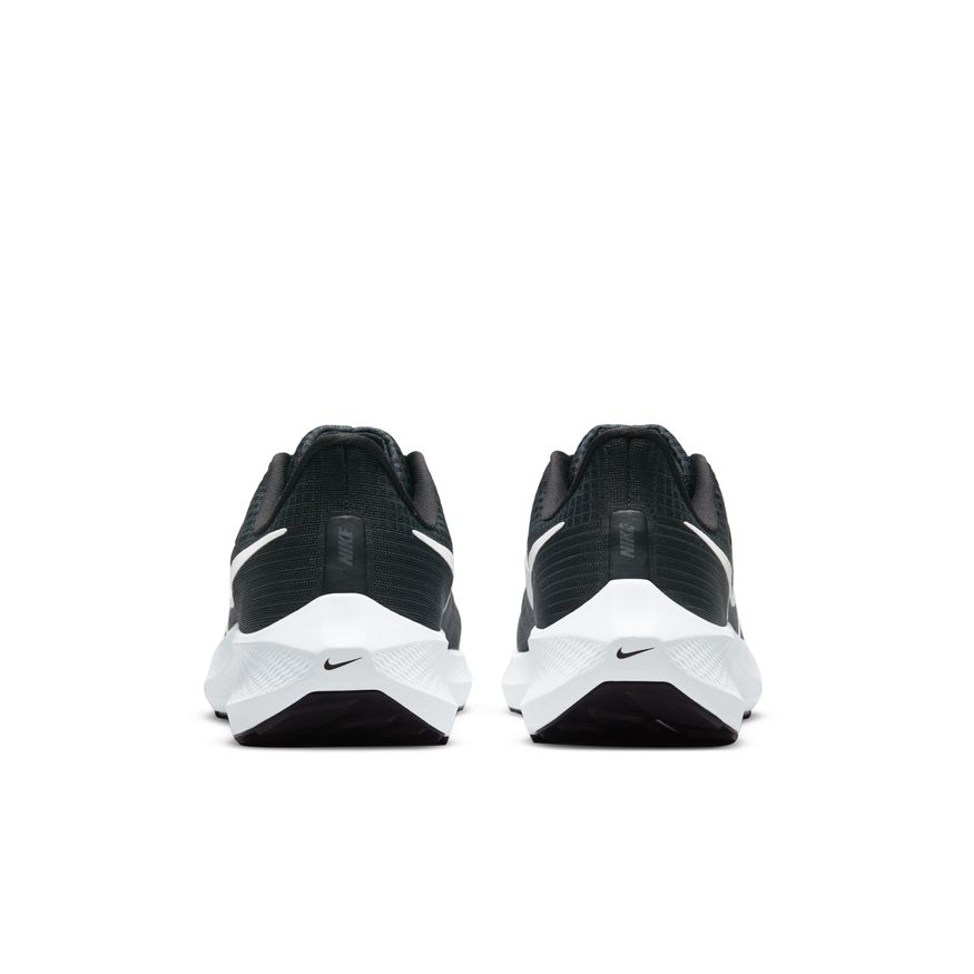  Men's Nike Pegasus 39 - DH4071-001