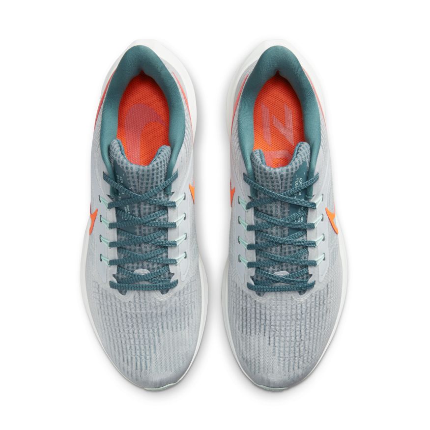  Men's Nike Pegasus 39 - DH4071-003