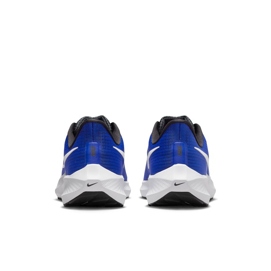  Men's Nike Pegasus 39 - DH4071-400