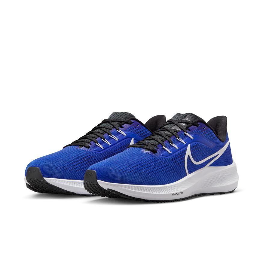  Men's Nike Pegasus 39 - DH4071-400