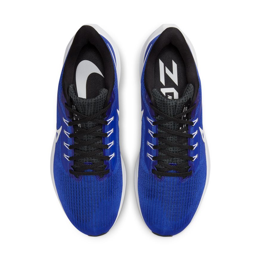  Men's Nike Pegasus 39 - DH4071-400
