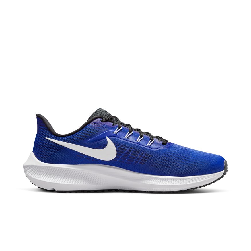  Men's Nike Pegasus 39 - DH4071-400