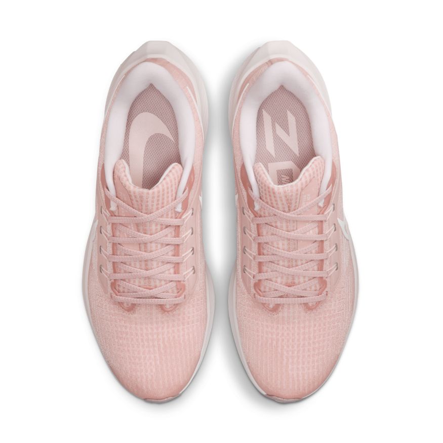  Women's Nike Pegasus 39 - DH4072-601