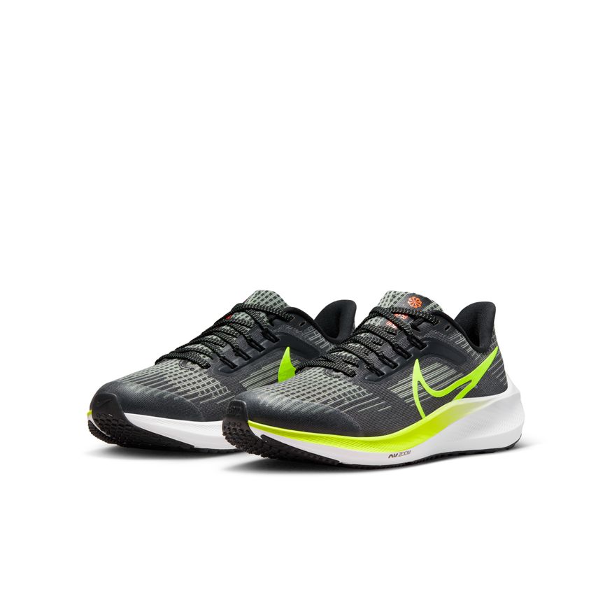  Kid's Nike Pegasus 39 - DM4015-002