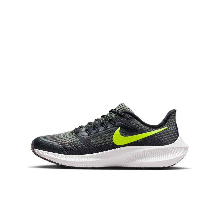  Kid's Nike Pegasus 39 - DM4015-002
