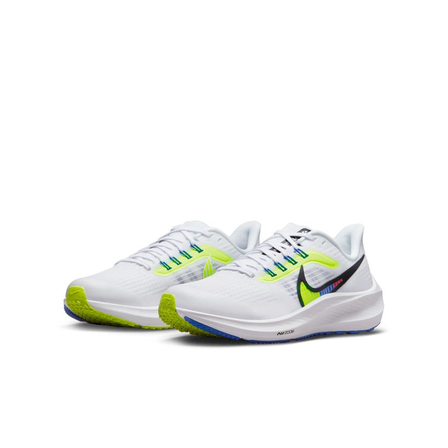  Kid's Nike Pegasus 39 - DM4015-100