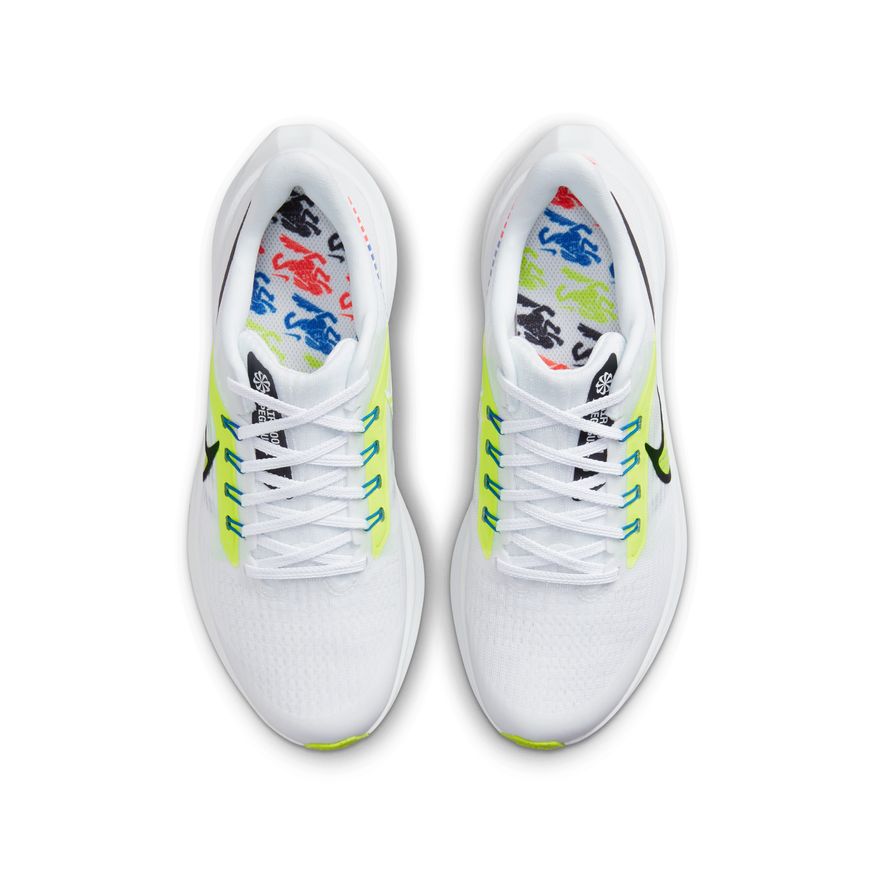  Kid's Nike Pegasus 39 - DM4015-100