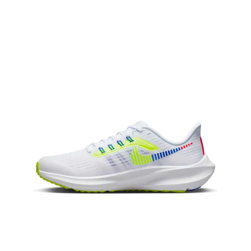  Kid's Nike Pegasus 39 - DM4015-100
