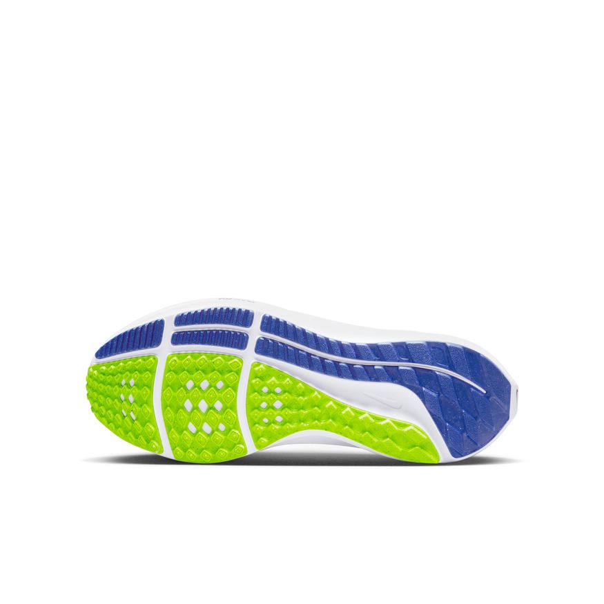  Kid's Nike Pegasus 39 - DM4015-100