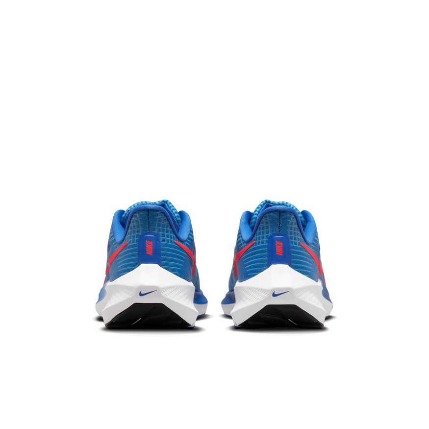  Kid's Nike Pegasus 39 - DM4015-411