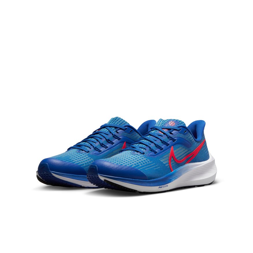  Kid's Nike Pegasus 39 - DM4015-411