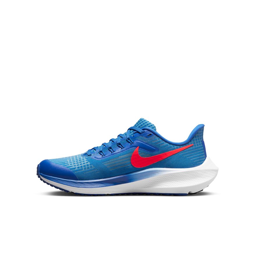  Kid's Nike Pegasus 39 - DM4015-411