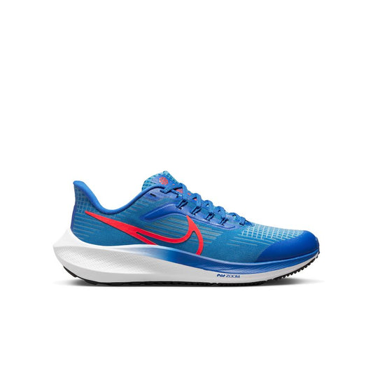  Kid's Nike Pegasus 39 - DM4015-411