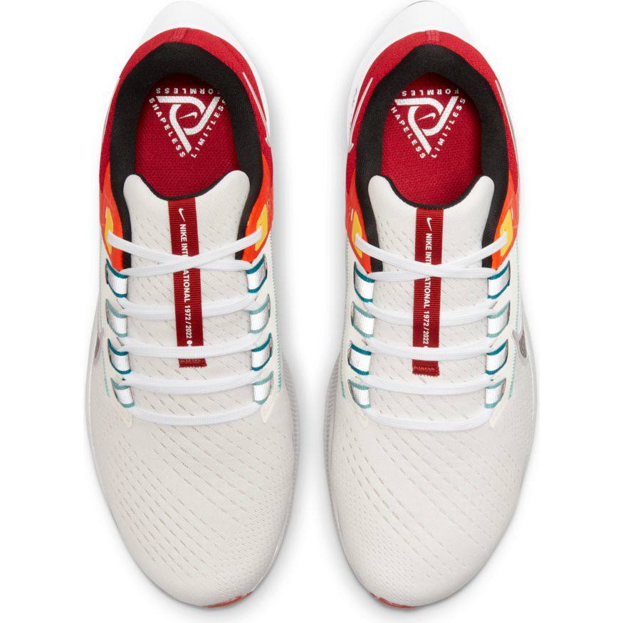  Men's Nike Pegasus 38 - DQ4499-101