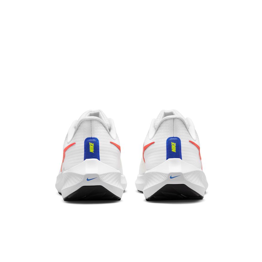 Men's Nike Pegasus 39 - DX3354-100