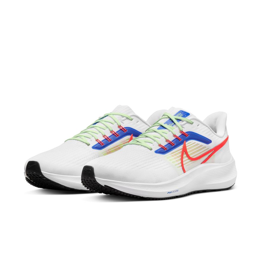  Men's Nike Pegasus 39 - DX3354-100