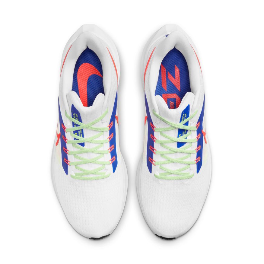  Men's Nike Pegasus 39 - DX3354-100