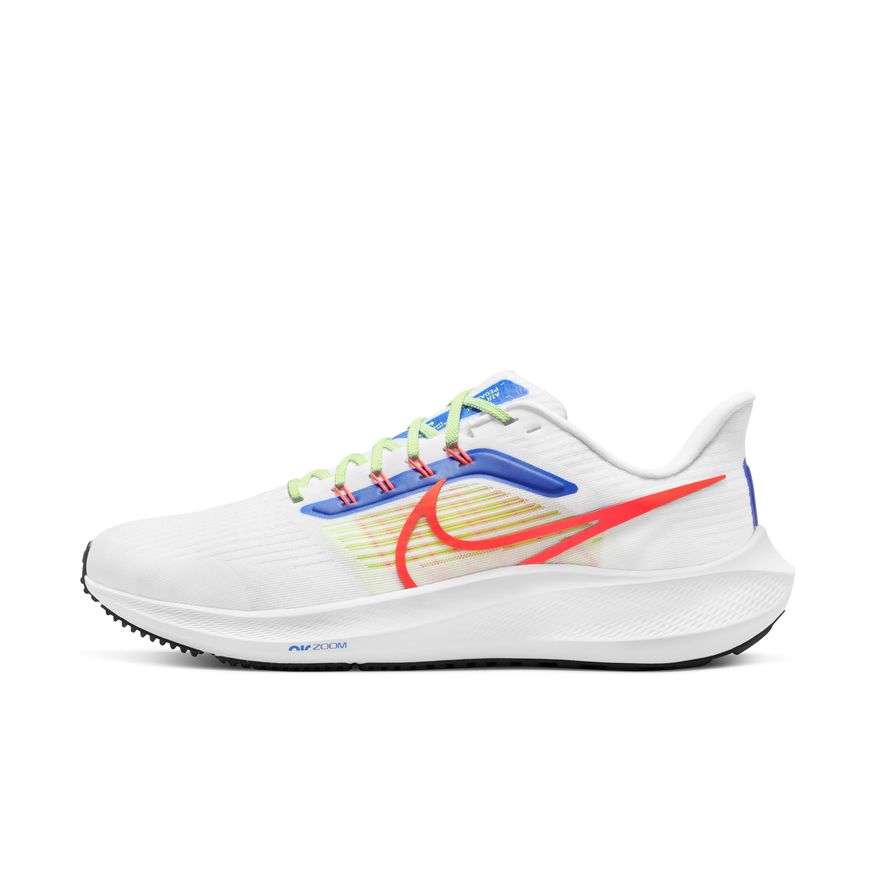  Men's Nike Pegasus 39 - DX3354-100