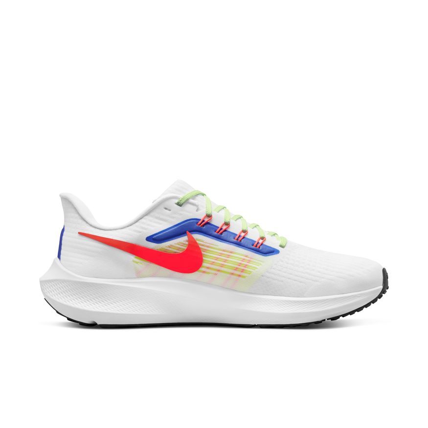  Men's Nike Pegasus 39 - DX3354-100